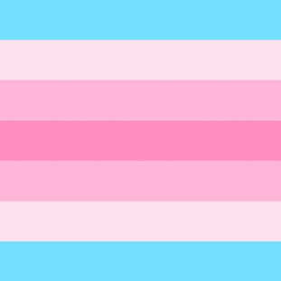 The transfeminine flag, 7 horizontal stripes which from top to bottom are light blue, light pink, pink, darker pink, pink, light pink, and light blue.