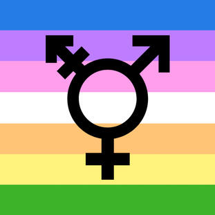 The transemphatic flag, 7 horizontal stripes which from top to bottom are blue, purple, pink, white, orange, yellow, and green. There is a large black transgender symbol in the middle of the flag.