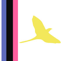 The accipiogender flag, a white flag with a yellow bird on the right and three vertical stripes on the left. the stripes from left to right are blue, black, and pink.